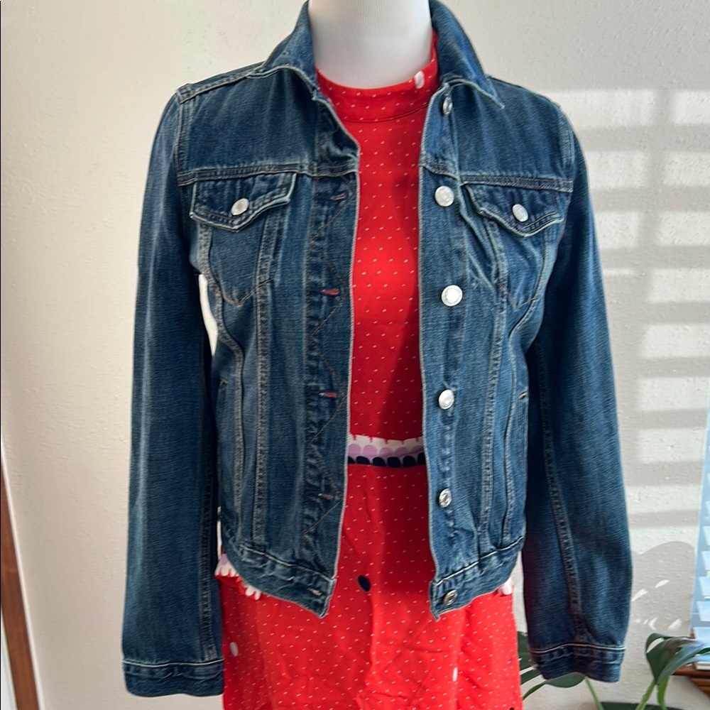 Gap 1969 Denim Jacket